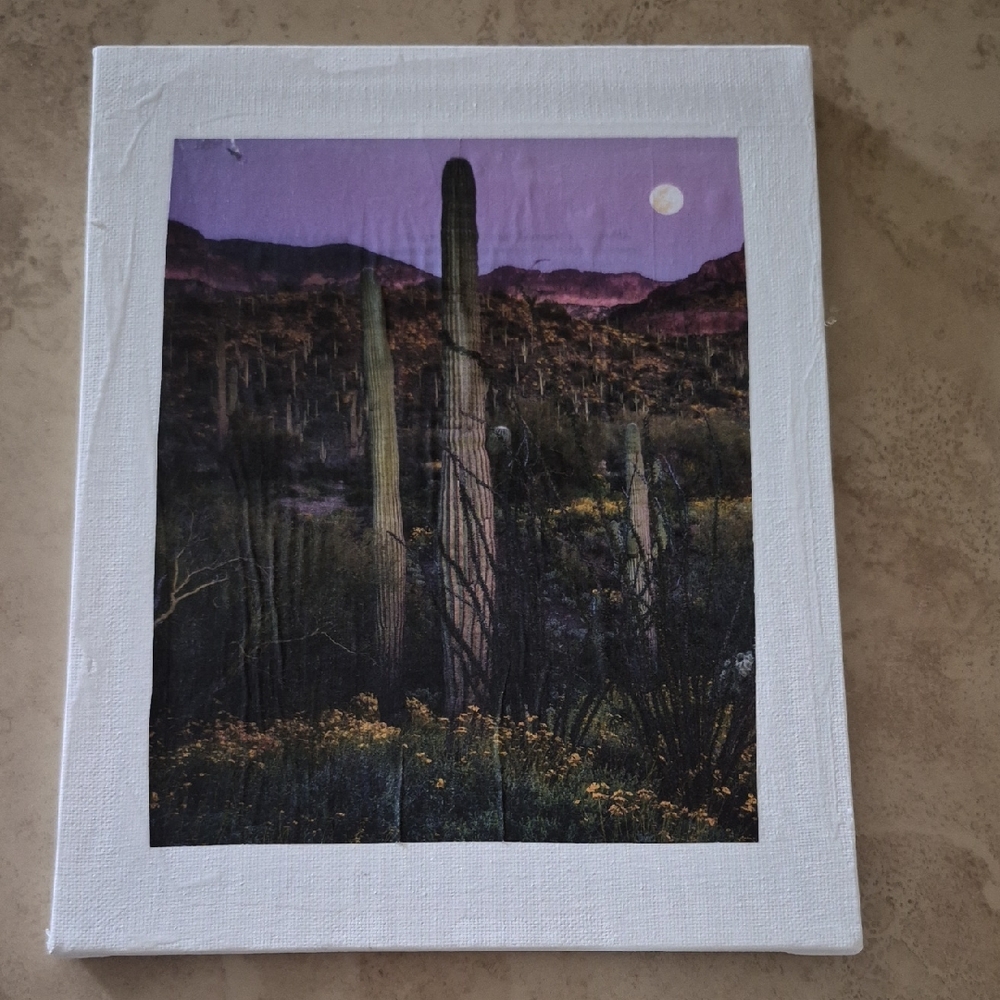 Desert Night Canvas Art